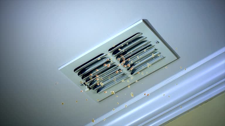 Best Air Duct Cleaning Company Near Me  in Palmetto Bay, FL