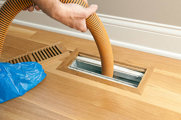 Best Air Duct Cleaning Near Me  in Palmetto Bay, FL