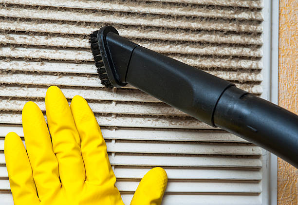 Best Professional Duct Cleaning Services  in Palmetto Bay, FL